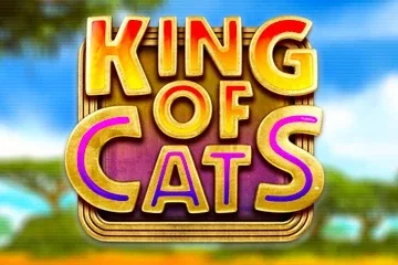 King of Cats – a játék képe