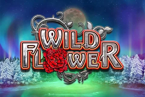 Wild Flower – a játék képe