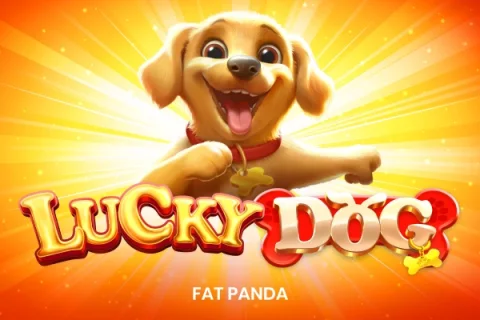 Lucky Dog – a játék képe