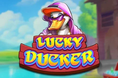 Lucky Ducker – a játék képe