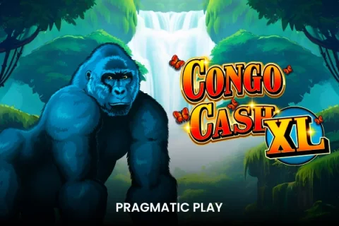 Congo Cash XL – a játék képe
