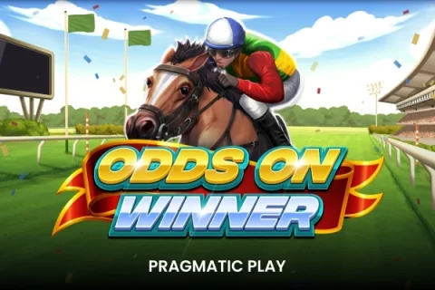 Odds On Winner – a játék képe