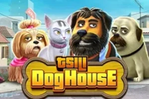 TSILI Dog House – a játék képe