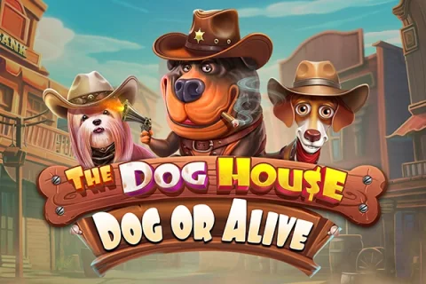 The Dog House – Dog or Alive – a játék képe