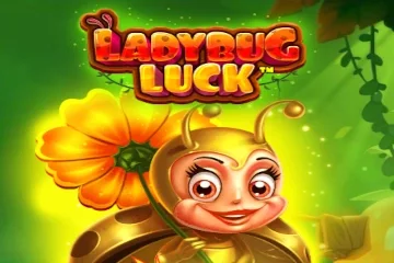 Ladybug Luck – a játék képe