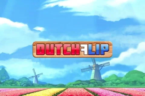 Dutch Flip – a játék képe