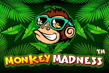 Monkey Madness – a játék képe