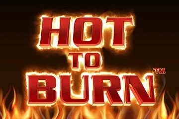Hot to Burn – a játék képe