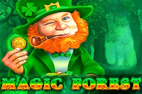 Magic Forest – a játék képe
