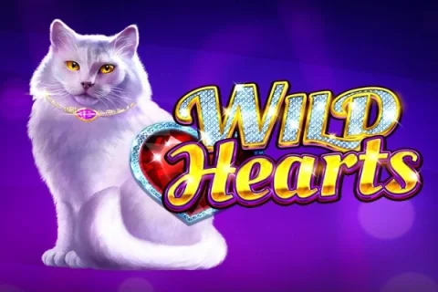 Wild Hearts – a játék képe