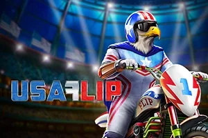USA Flip – a játék képe