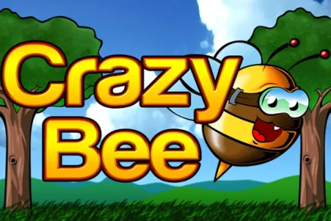 Crazy Bee – a játék képe