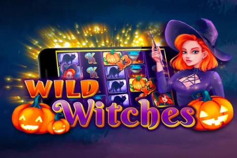 Wild Witches – a játék képe