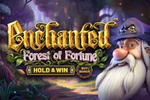 Enchanted: Forest of Fortune – a játék képe