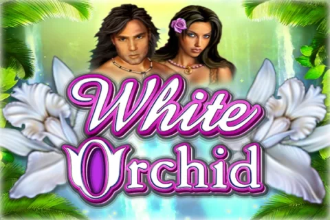 White Orchid – a játék képe