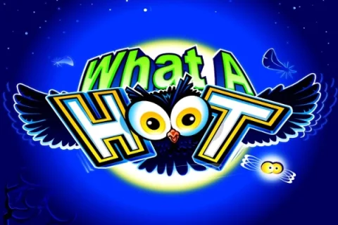 What A Hoot – a játék képe