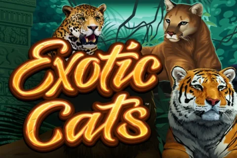 Exotic Cats – a játék képe