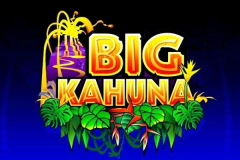 Big Kahuna – a játék képe