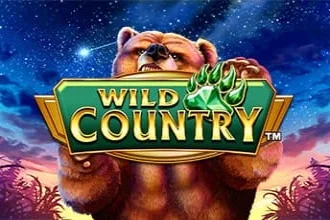 Wild Country – a játék képe