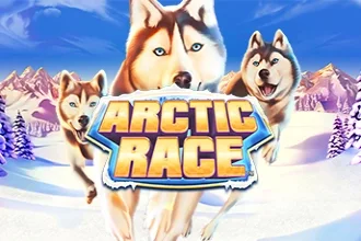 Arctic Race – a játék képe