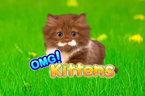 OMG Kittens – a játék képe