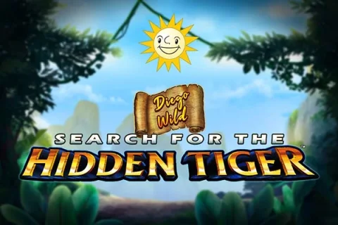Diego Wild Search for the Hidden Tiger – a játék képe