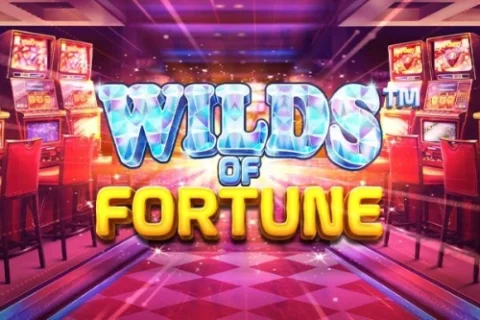 Wilds of Fortune – a játék képe