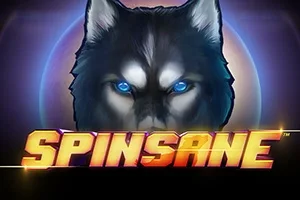 Spinsane – a játék képe