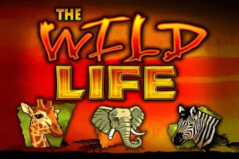 The Wild Life – a játék képe