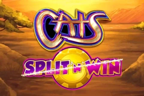 Cats Split ‘n’ Win – a játék képe