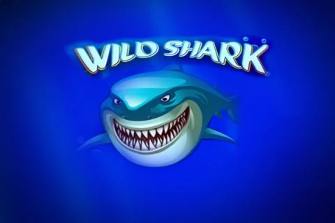 Wild Shark – a játék képe