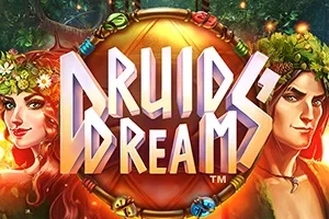 Druids’ Dream – a játék képe