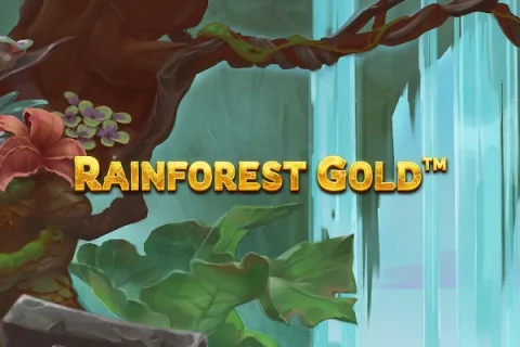 Rainforest Gold – a játék képe