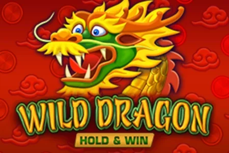 Wild Dragon Hold & Win – a játék képe
