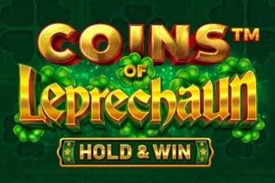 Coins of Leprechaun – a játék képe