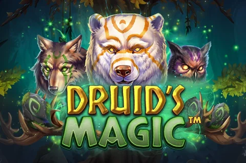 Druid’s Magic – a játék képe