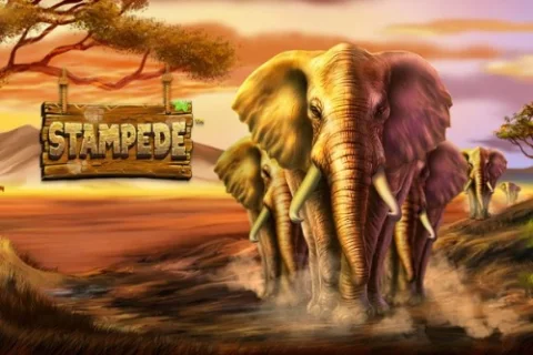 Stampede – a játék képe