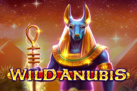 Wild Anubis – a játék képe