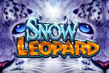 Snow Leopard – a játék képe