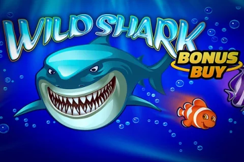 Wild Shark Bonus Buy – a játék képe