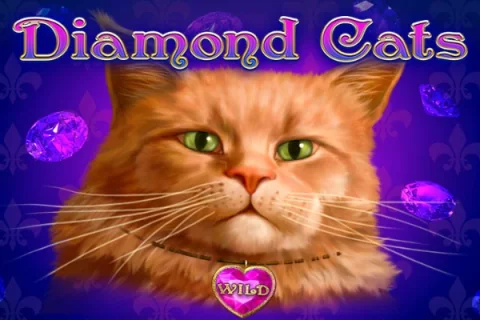 Diamond Cats – a játék képe