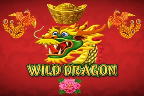 Wild Dragon – a játék képe