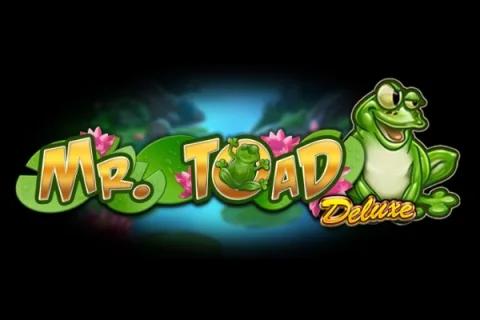 Mr. Toad Deluxe – a játék képe