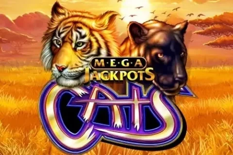 Cats MegaJackpots – a játék képe