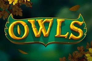 Owls – a játék képe