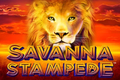 Savanna Stampede – a játék képe