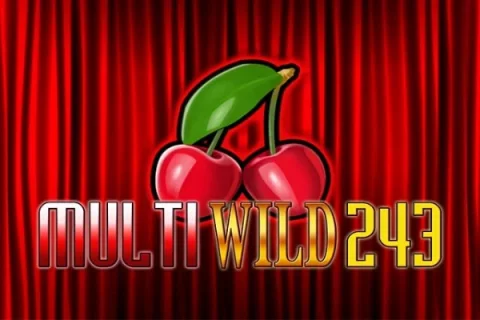 Multi Wild 243 – a játék képe