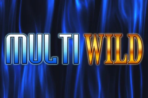 Multi Wild – a játék képe