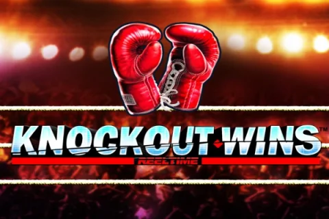 Knockout Wins – a játék képe