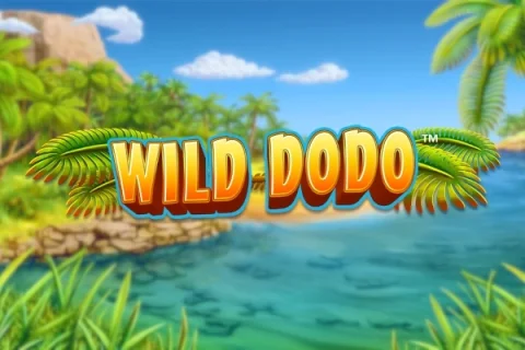 Wild Dodo – a játék képe